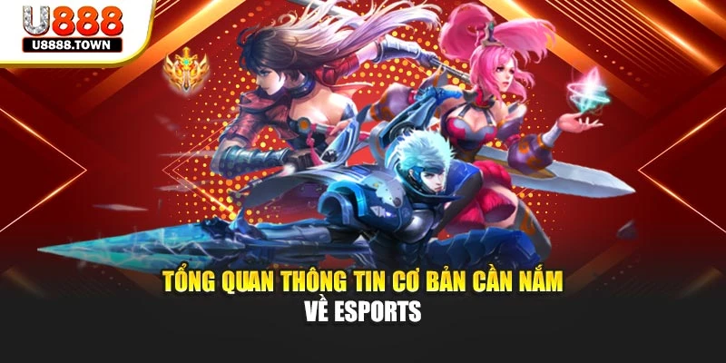 Tổng quan thông tin cơ bản cần nắm về esports